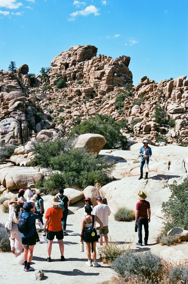 img 7384